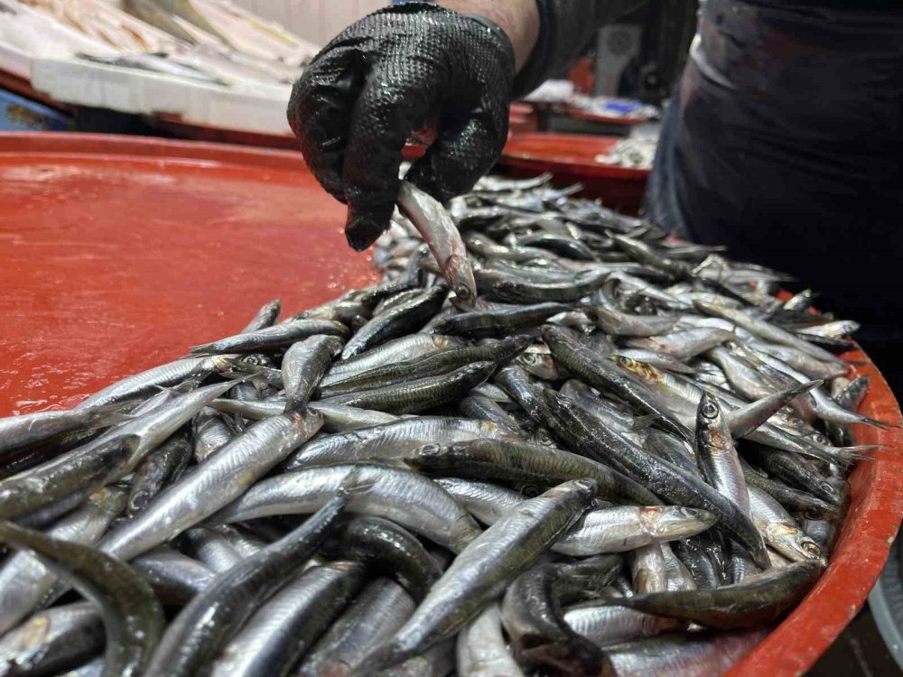 Geç Gelen Kış Hamsiyi Kaçırdı, Konya’da Tezgâhlar Daraldı