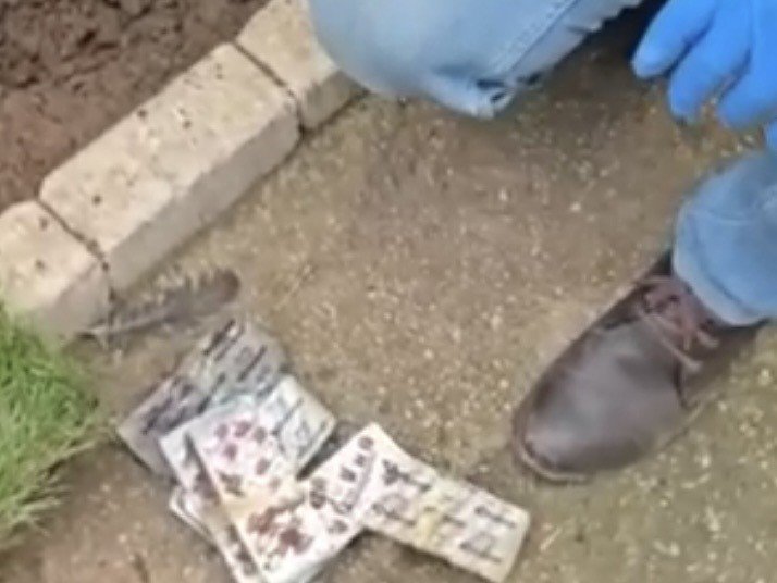 Bahçede Hasat: Topraktan 9 Bin 132 Uyuşturucu Hap Çıktı