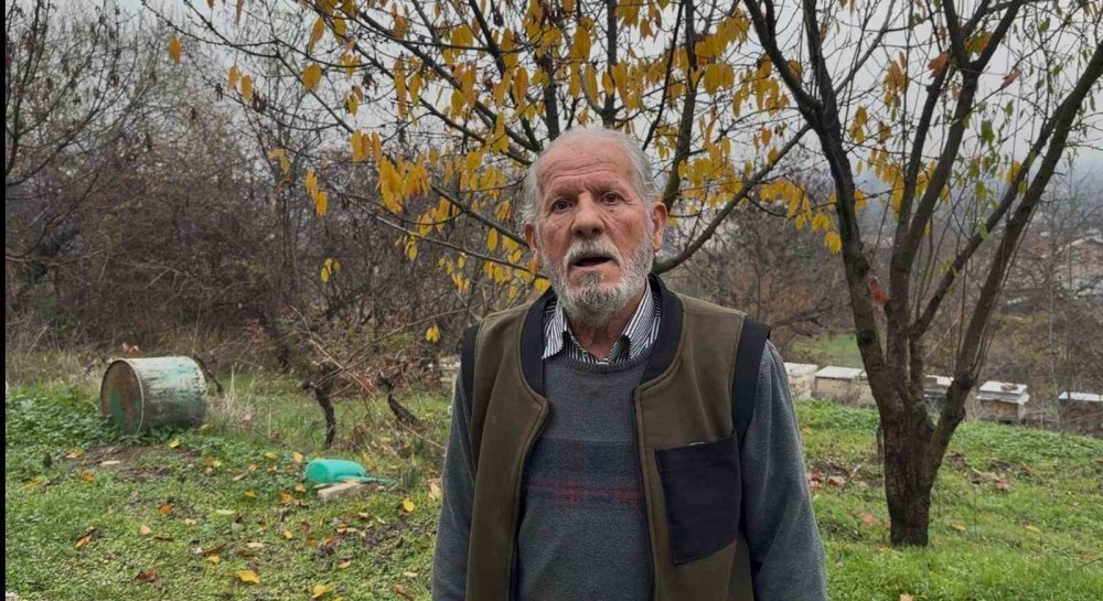İlaçlanan bahçeler arıları öldürdü, üretim durma noktasında