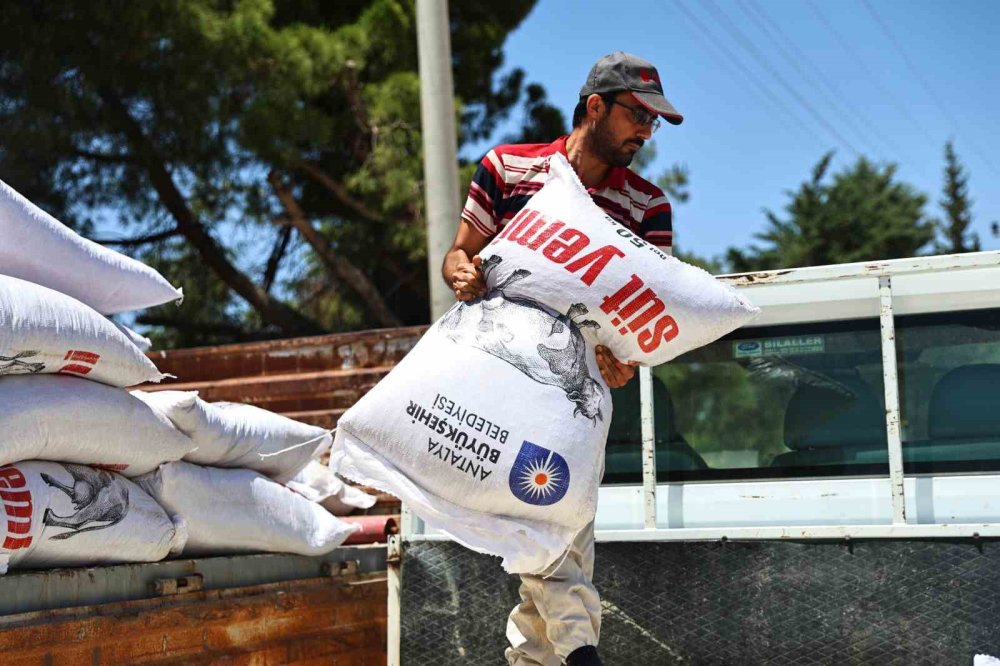 Hayvanlara 20 kamyon destek yaptı anlat anlat bitiremedi