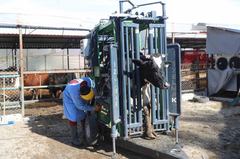 Hayvanlara 20 kamyon destek yaptı anlat anlat bitiremedi