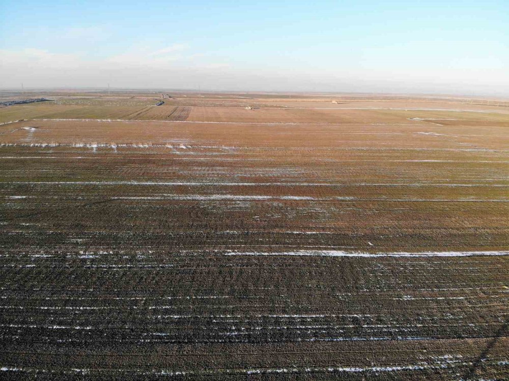Konya Ovası’na yağan kar, toprağı örtmeye yetmedi