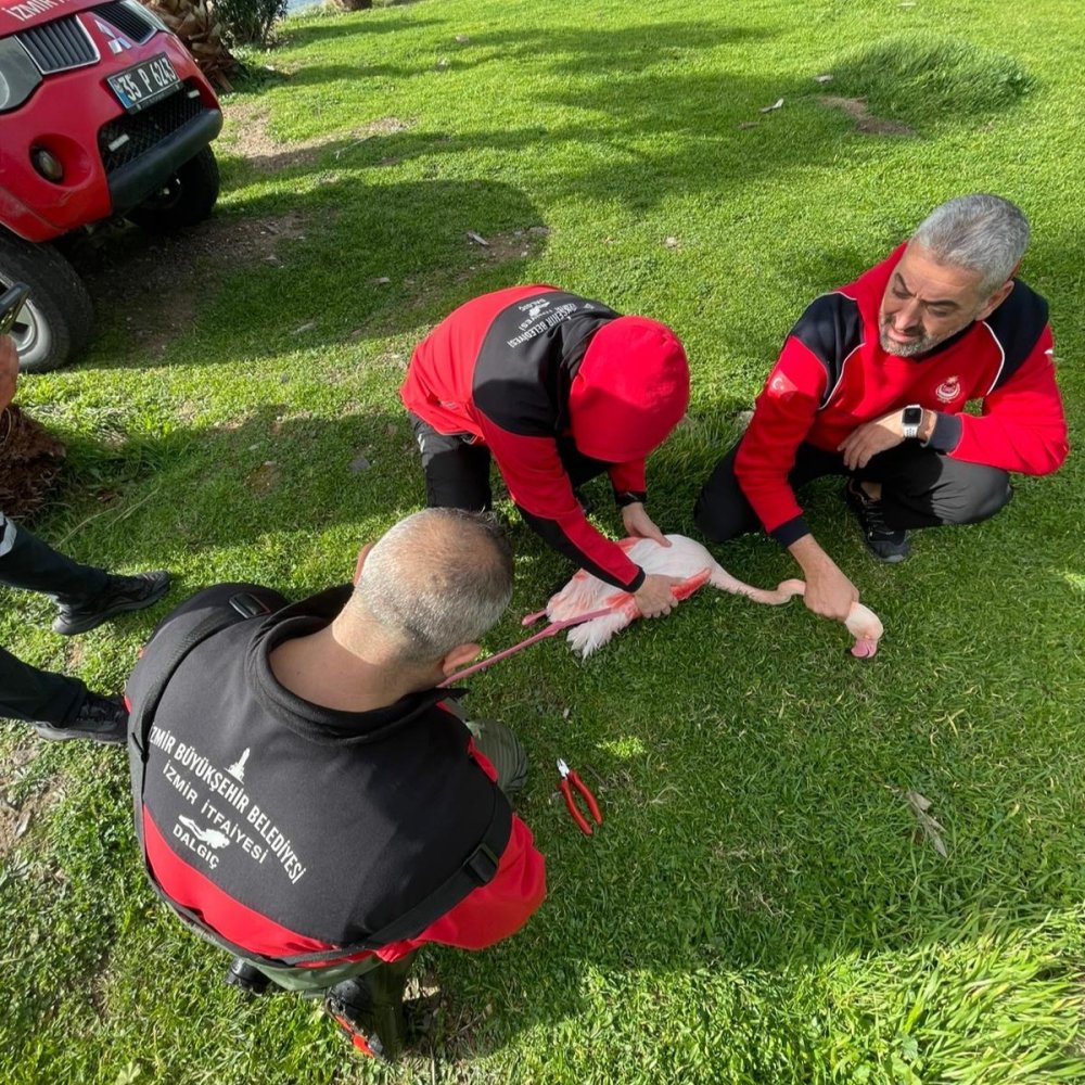 Ya itfaiye olmasaydı: Havadan gelen misafirleri böyle öldürüyorlar