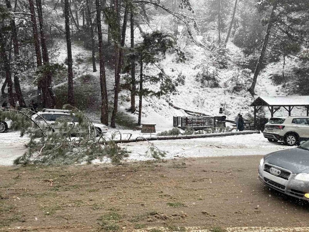 Kızılcahamam'da çam deviren kar