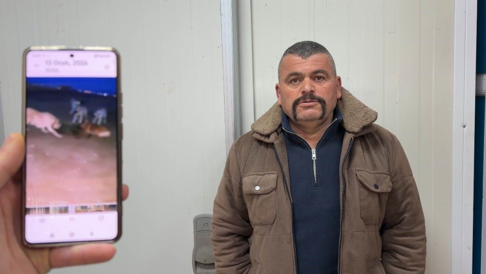 Konya’da sıra dışı anlar! Yaban domuzunu elleriyle tuttu