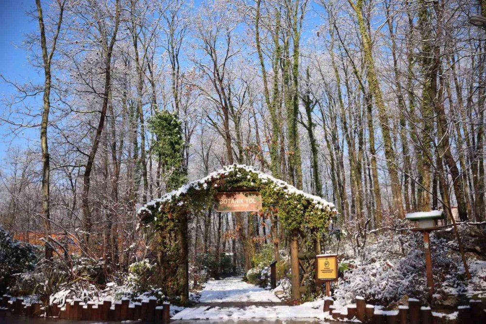 Avrupa’nın En Büyük Doğal Yaşam Parkı Beyaza Büründü