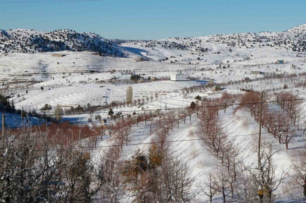 Konya’nın kiraz bahçeleri beyaz örtüyle kaplandı