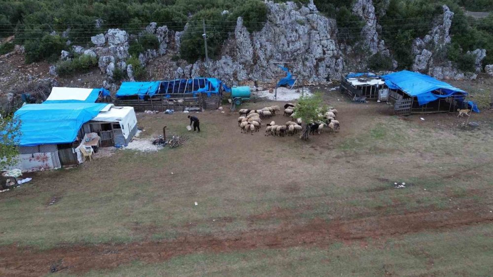 Doğa kendine geliyor! Göl su tutmaya başladı