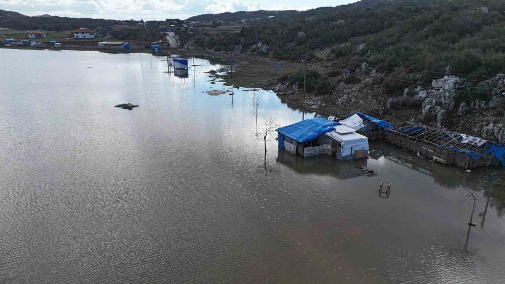 Doğa kendine geliyor! Göl su tutmaya başladı