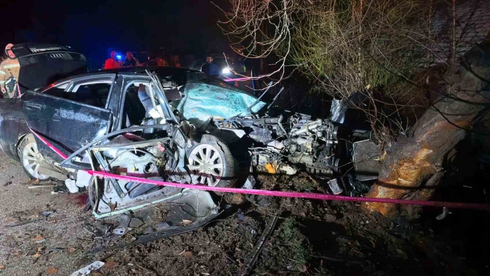 Kontrolden çıkan araç ağaca çarptı: 2 genç can verdi