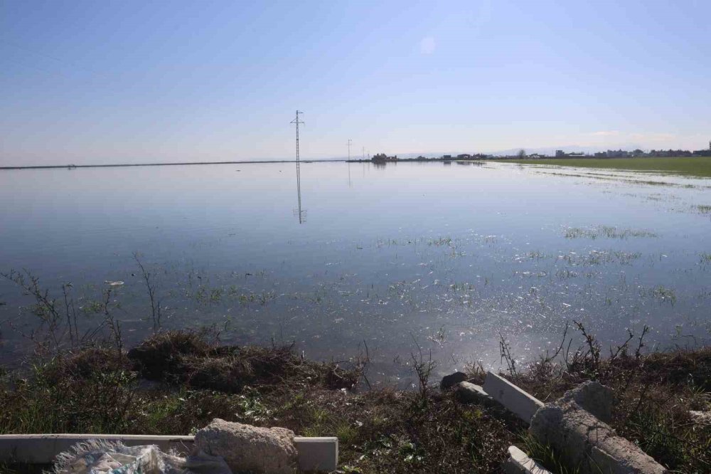 Susuzluktan çatlayan tarım arazileri sular altında kaldı