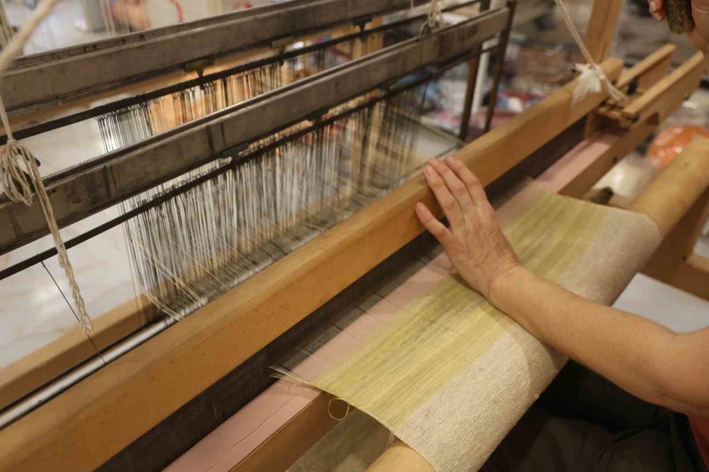 7 Yıllık Arayış Ödülle Taçlandı: Hatay Sarısı’na Dev Onur