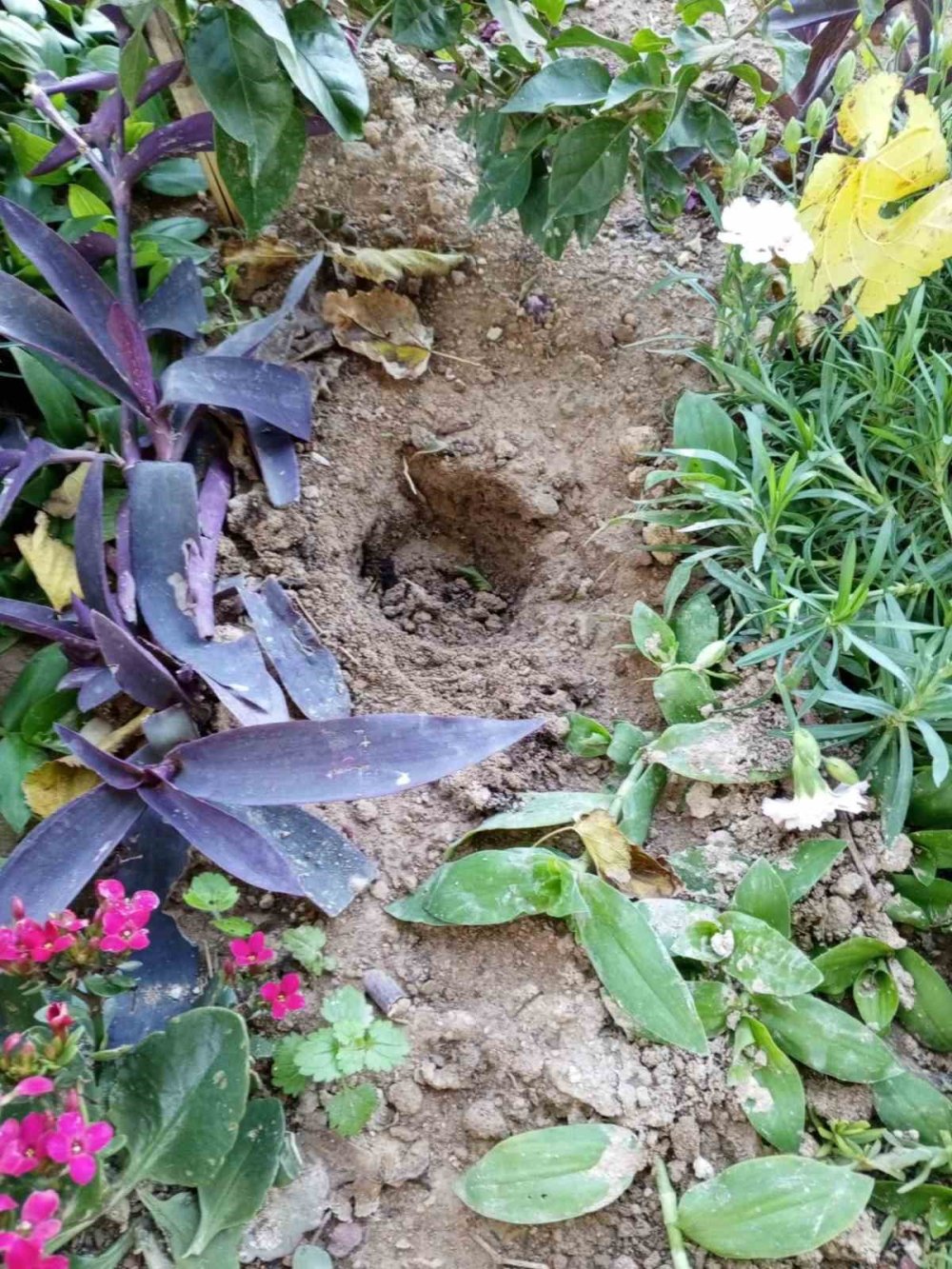 Uyuşturucuya Sığınak Olan Mezarlık Kontrol Altında