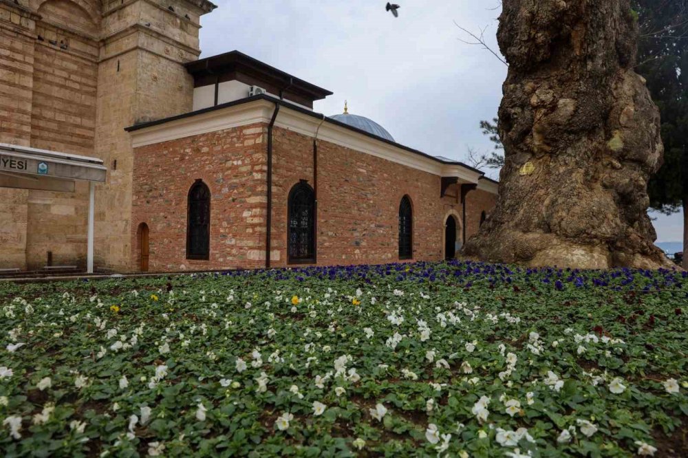 Bursa kışta da baharı yaşıyor