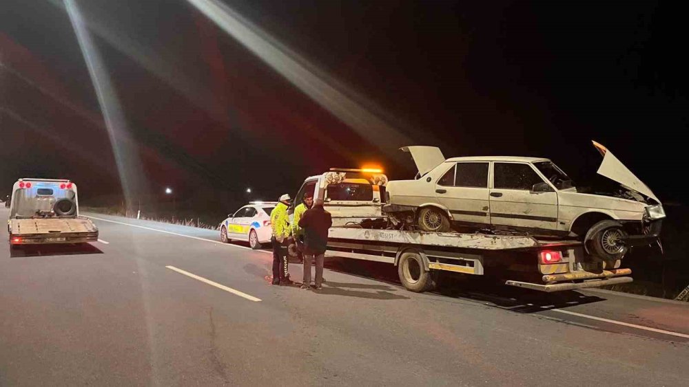 Domuza Çarpıp Şarampole Uçtu! Sürücü Hayatını Kaybetti