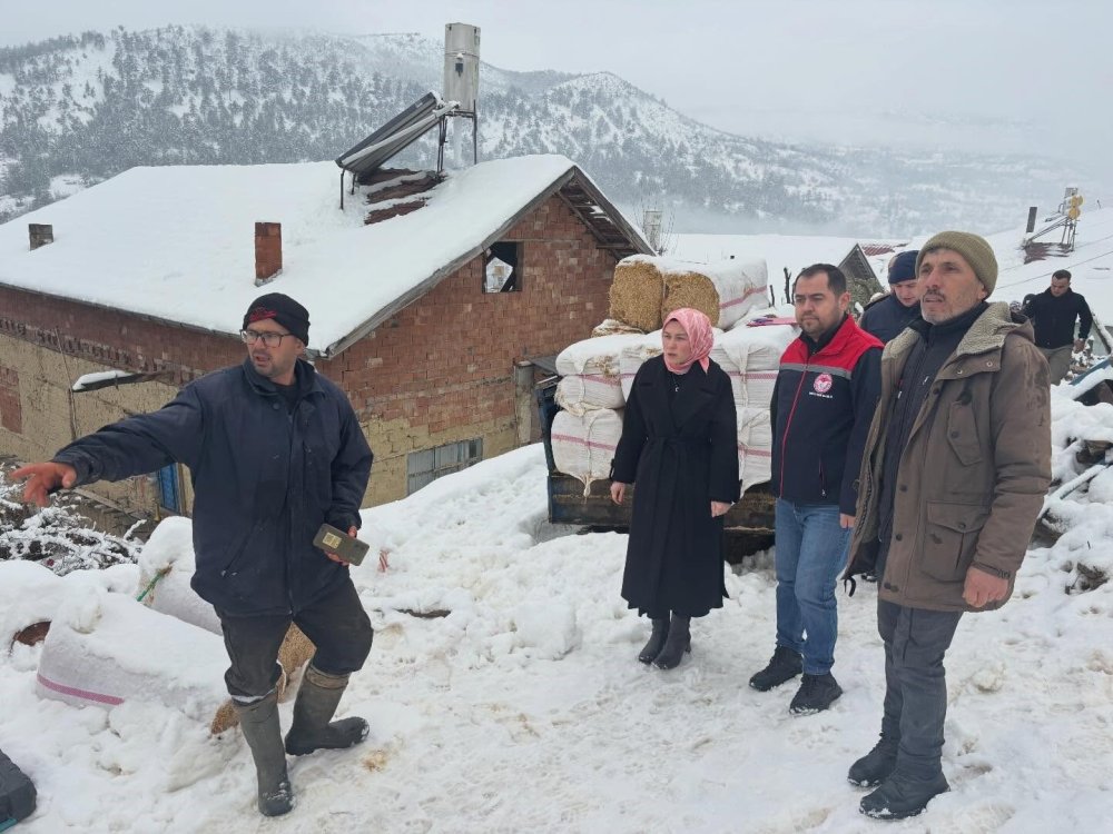 Bereket çatıyı çökertti