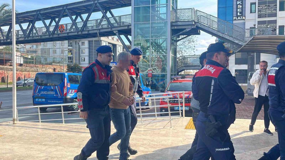 500 Bin Liralık Avokado Hırsızlarını, Fener Işığı Ele Verdi