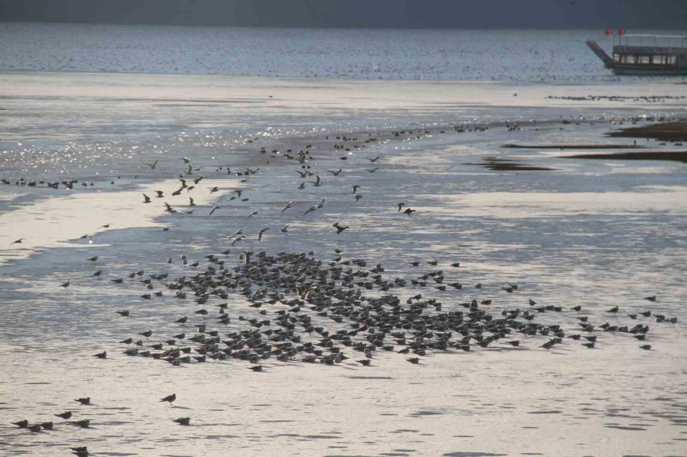 Beyşehir Gölü Buz Tuttu