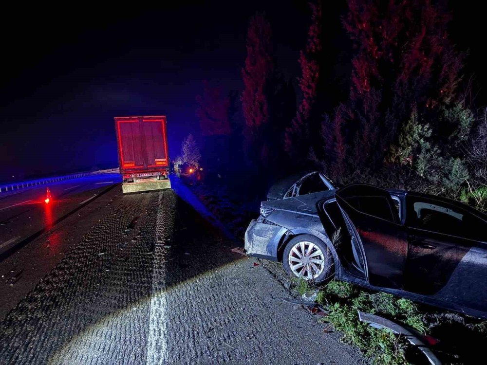 Yol fırlayan köpek ortalığı savaş alanına çevirdi