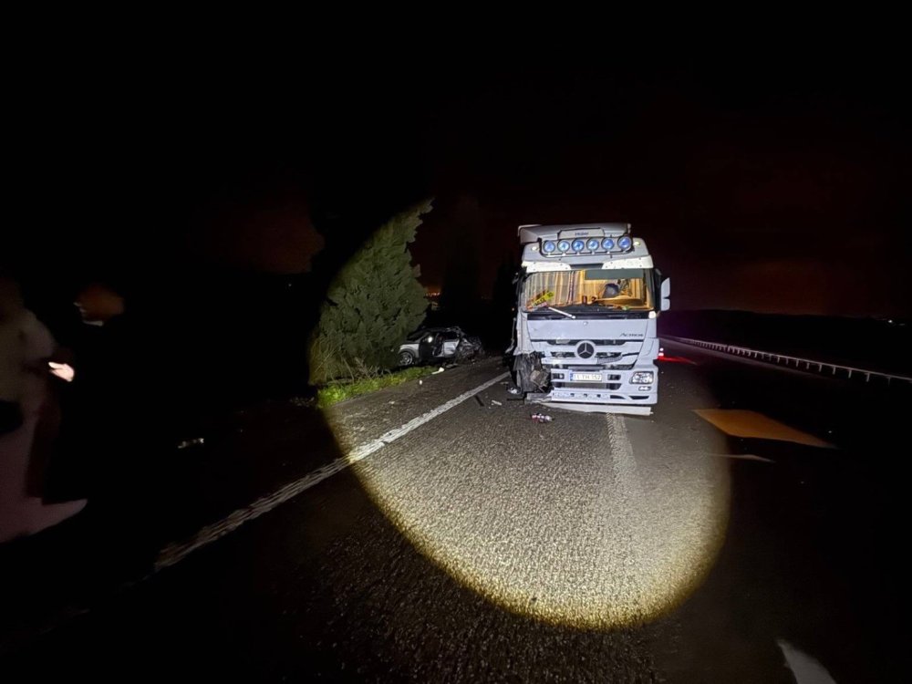 Yol fırlayan köpek ortalığı savaş alanına çevirdi