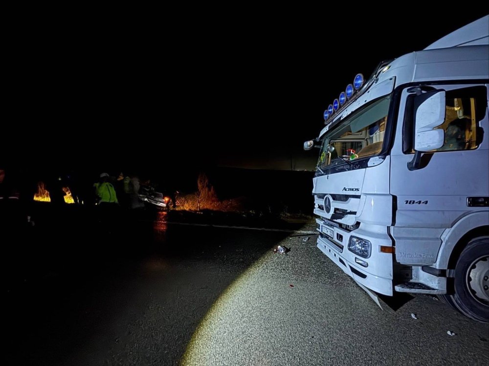 Yol fırlayan köpek ortalığı savaş alanına çevirdi