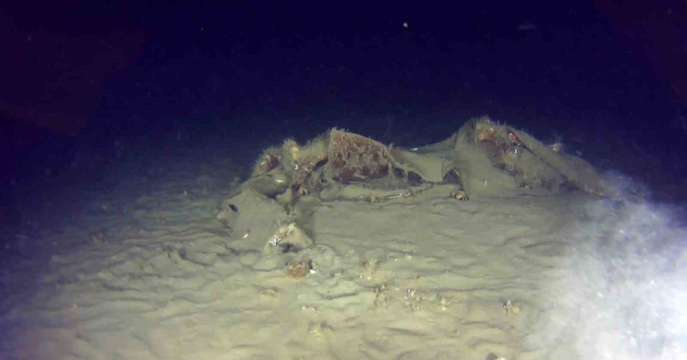 Marmara Denizi’ne 50 yıl önce düşen uçakla ilgili yeni gelişme