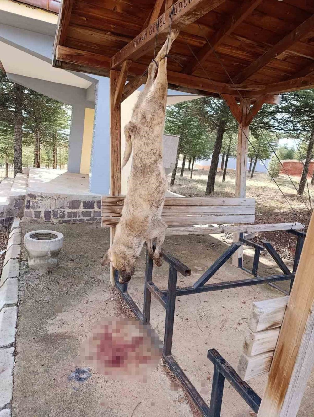 Bolvadin'deki vahşete çok yönlü soruşturma