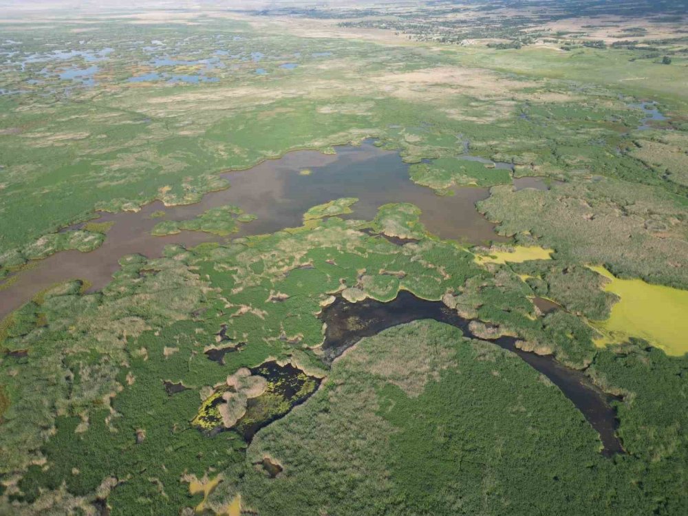 Eber Gölü Yağışlarla Nefes Aldı, Kiraz Üreticisi Sevindi
