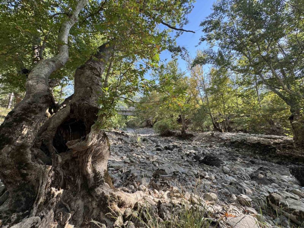 Toroslar’da su sevinci! Üzümdere Irmağı yeniden aktı