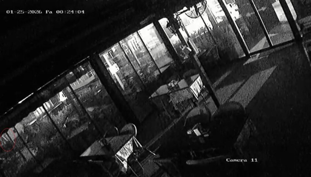 Kayıp üniversite öğrencisinin denize atladığı anlar ortaya çıktı