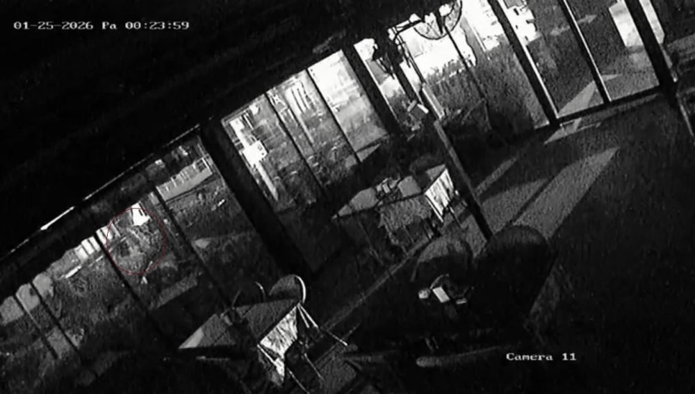 Kayıp üniversite öğrencisinin denize atladığı anlar ortaya çıktı