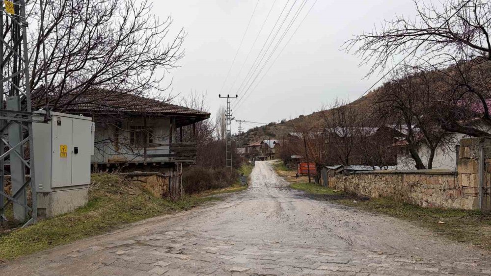 Ankara'yı başkent yapan neden ortaya çıktı