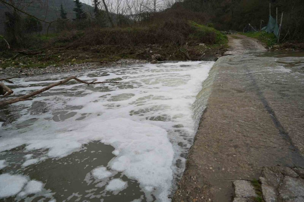 Köpüren dereden ağır kokular yükseliyor