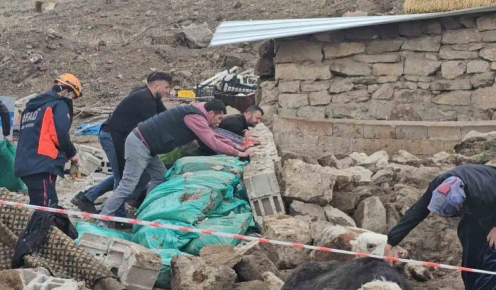 Yağmur ve Rüzgar Yıktı! Aksaray’da Ahır Çöktü