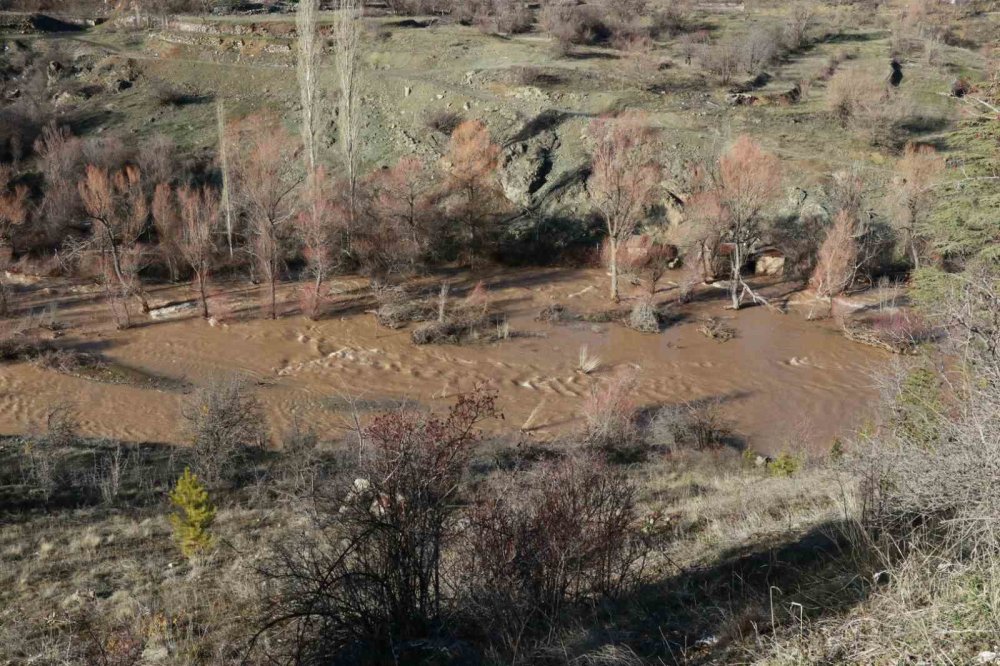 Karlar eridi, Göksu Nehri yatağına sığmadı! Konya'da tarım arazileri sular altında