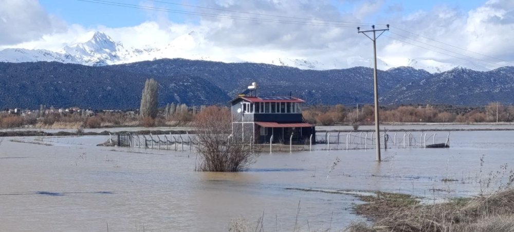 Konya'da Gembos kanalı taştı, ortaya bu manzara çıktı