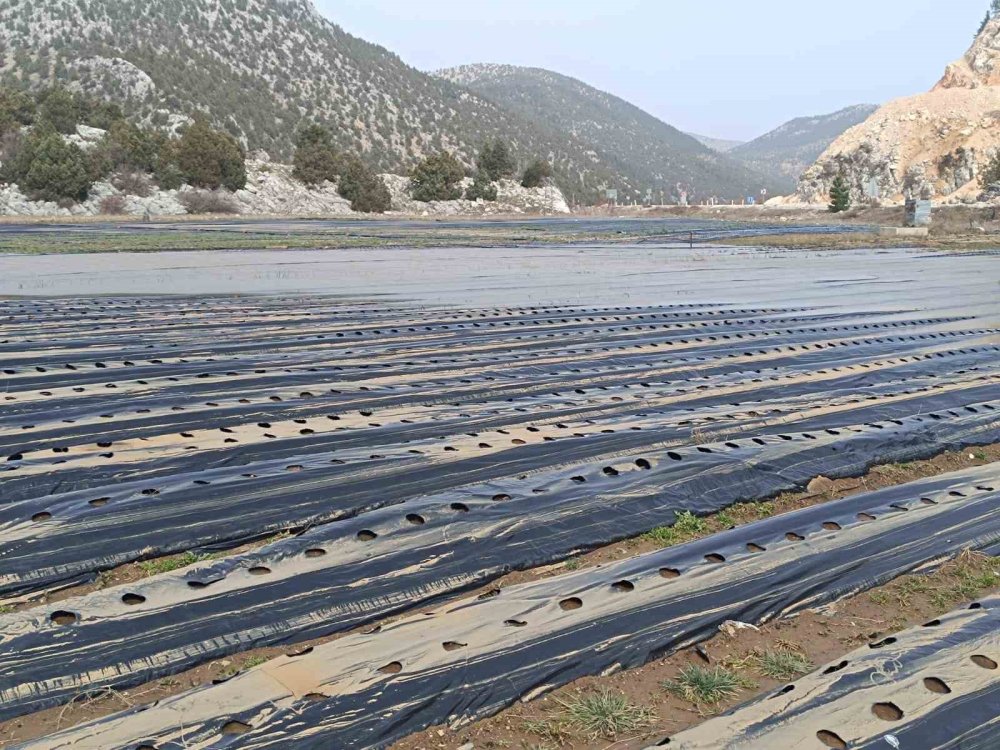 Gembos Ovası Sular Altında: Hasar Tespiti Başladı