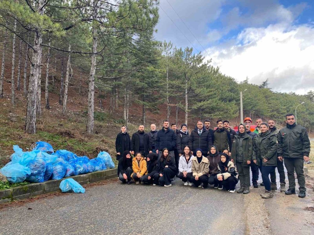 Harezmi Projesiyle Ormanlarda “Merdiven Etkisi” Önlemi