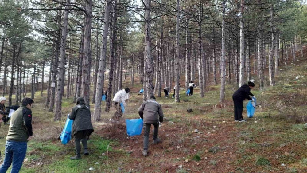 Harezmi Projesiyle Ormanlarda “Merdiven Etkisi” Önlemi