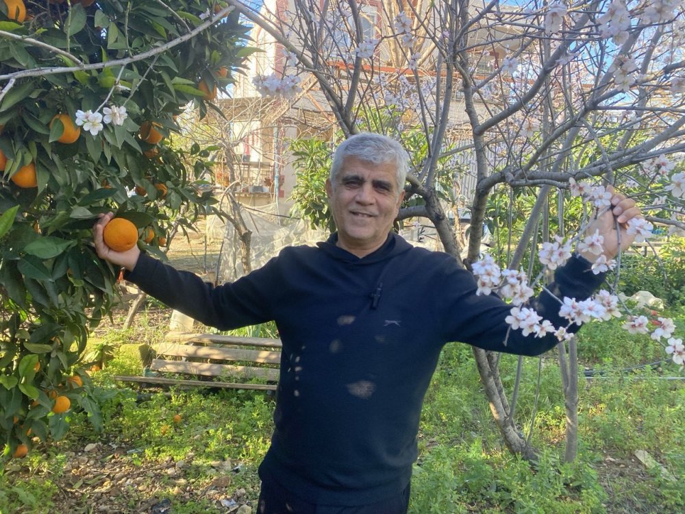 Cemre düştü badem ağaçları çiçek açtı