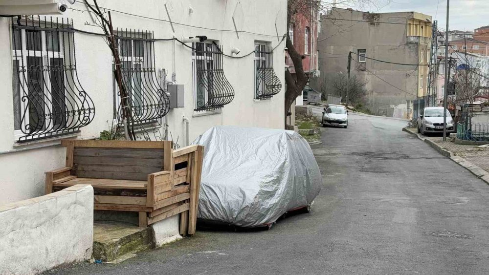 Başakşehir'de köpekleri kim toplayacak? Yeni Bakan duymasın