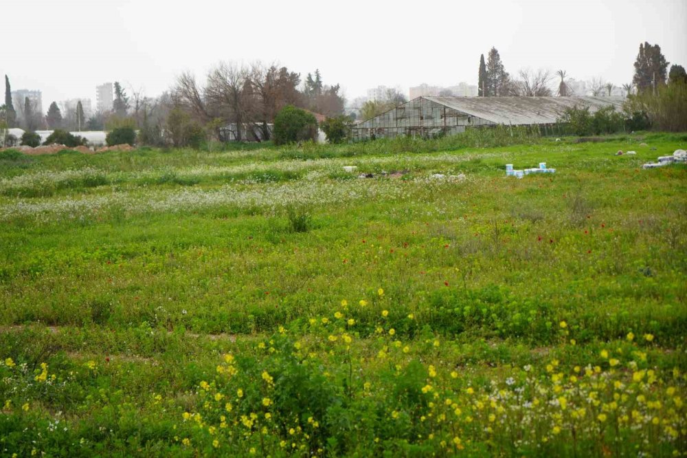 Türkiye 20 Yılda Antalya’dan Büyük Tarım Alanı Kaybetti