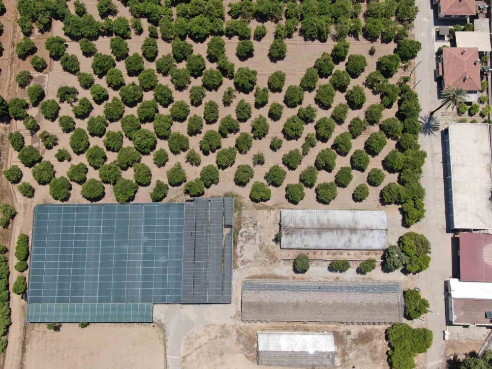 Türkiye 20 Yılda Antalya’dan Büyük Tarım Alanı Kaybetti