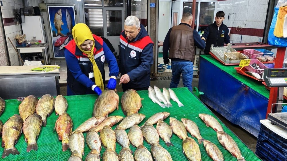 Beyşehir Gölün Denetim Altında! Yasal Boy Altına Geçit Yok