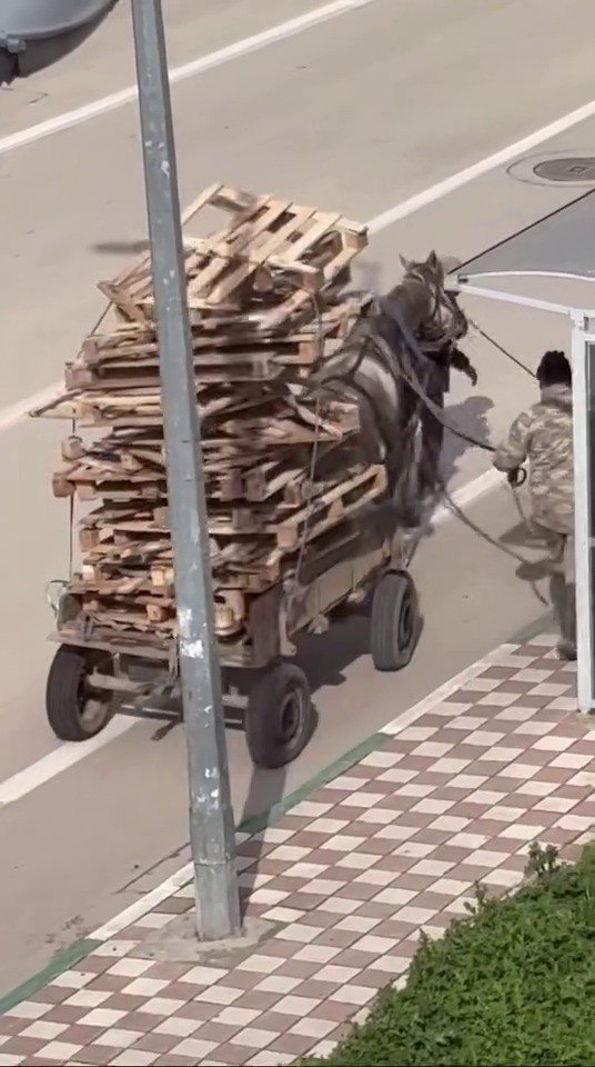 Ekmek parası diye zavallı ata bu yükü yükledi