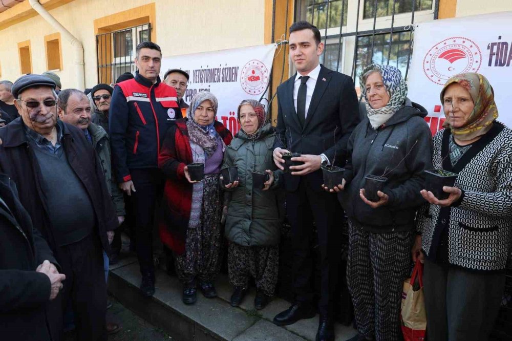 Çiftçi yeni ürünler deneyecek! Fidanlar dağıtıldı
