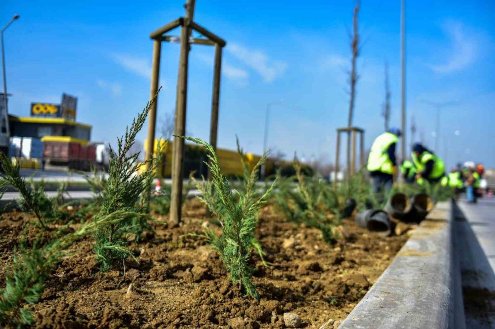 Kuraklık riski kalktı mı? Bursa'da peyzajlara özel bakım