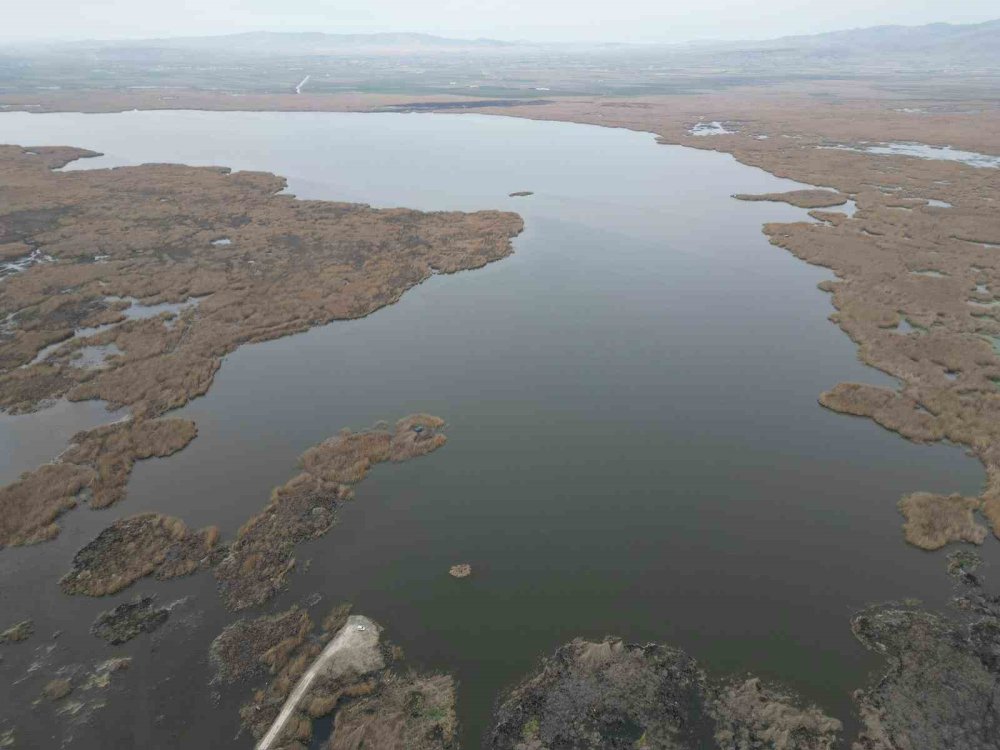 Kuşlar da geldi Eber Gölü artık kurtuldu