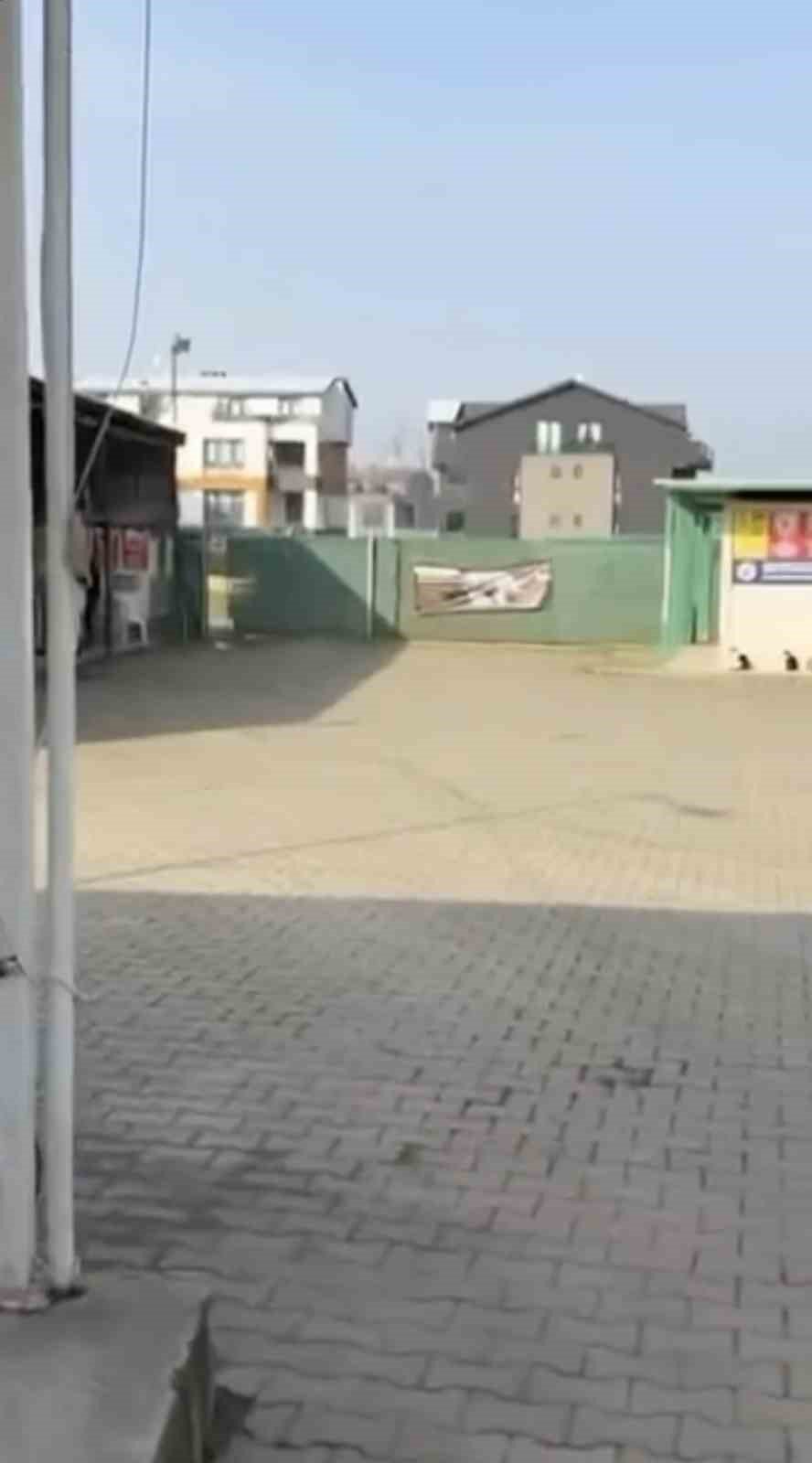 Gemlik'te barınak krizi: Hayvanseverler içeri alınmadı iddiası