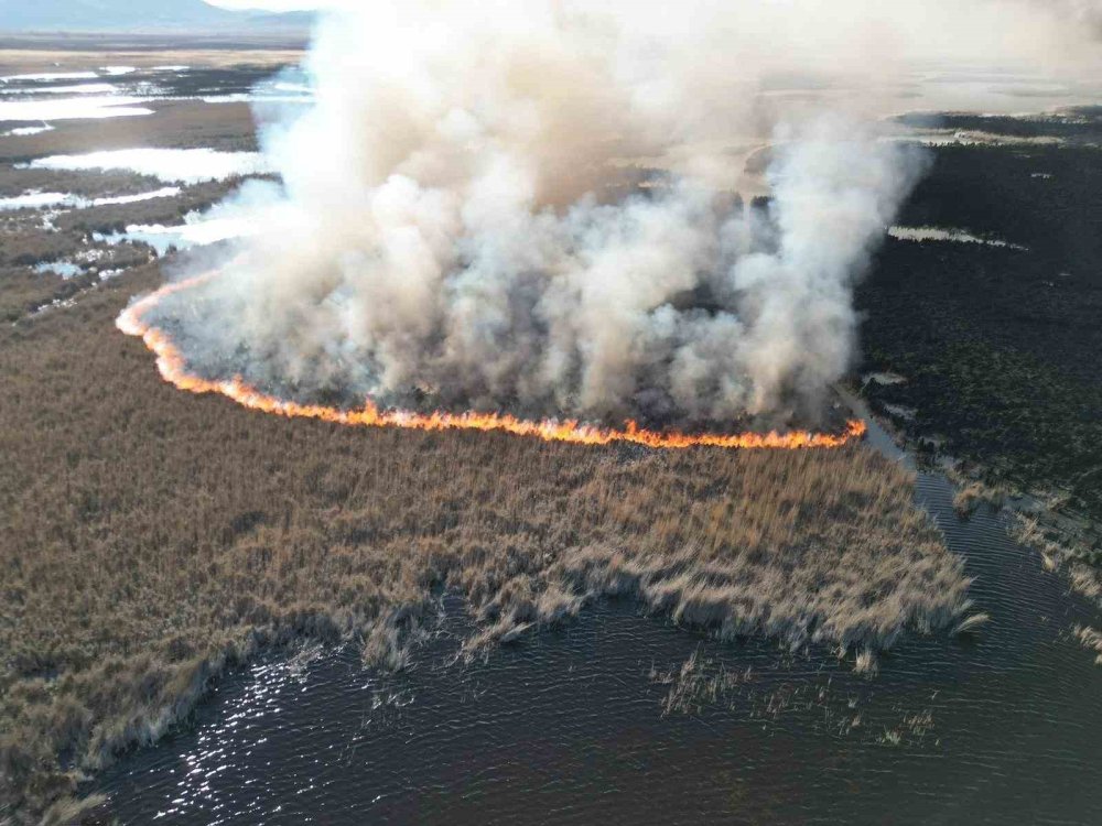 Gölün bitki örtüsü yandı
